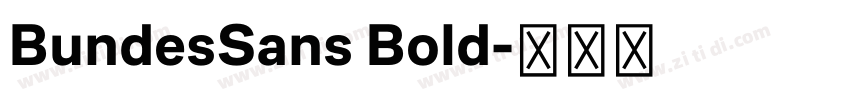BundesSans Bold字体转换